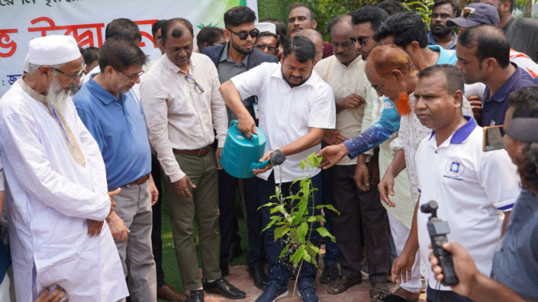 রাজশাহী নগরে লাগানো হবে আড়াই লাখ গাছ...