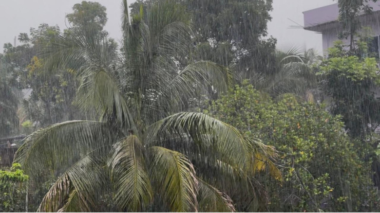তীব্র গরমের পরে অবশেষে মাদারীপুরে স্বস্তির বৃষ্টি...