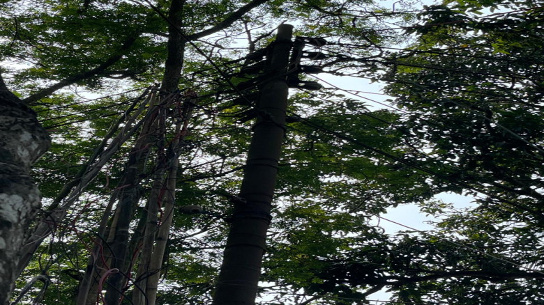 ব্রাহ্মণবাড়িয়ায় চুরির মহোৎসব, দিশেহারা মানুষ...