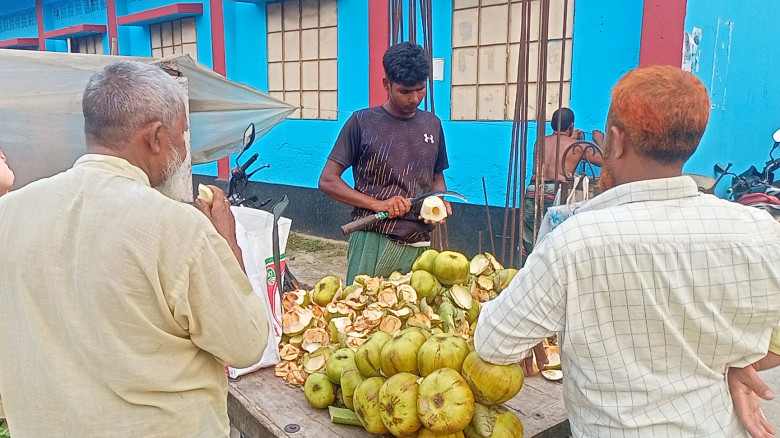 লালপুরে গরমে বাড়ছে তালের শাঁসের   চাহিদা...