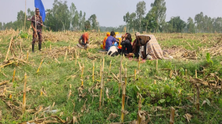 ঠাকুরগাঁও সীমান্তে পুশ ইন করা ১১ জনকে ভারতে ফেরত ন...