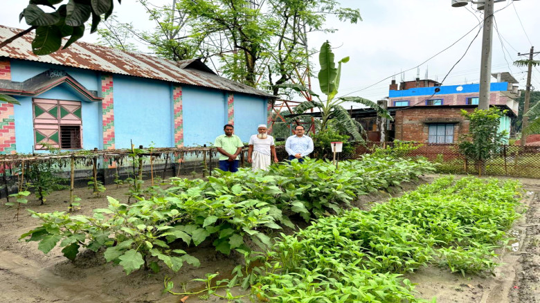 অনাবাদি জমি এখন সবজি বাগান, মিঠাপুকুরে পুষ্টি বাগা...