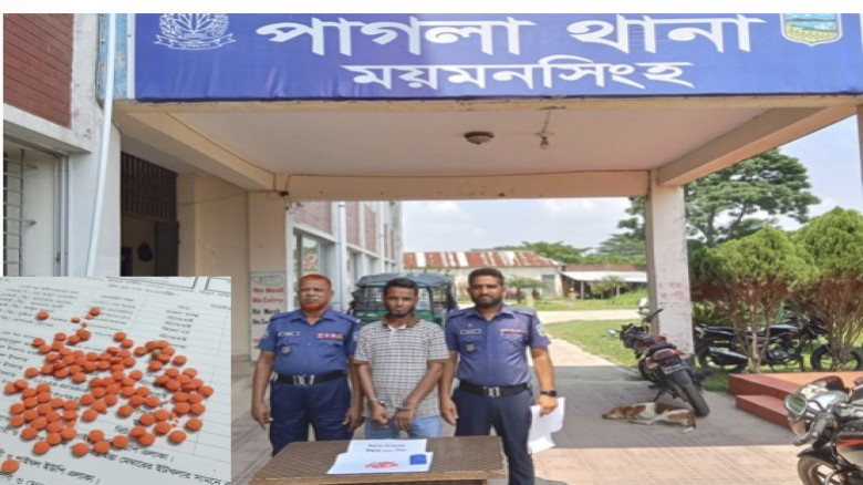 গফরগাঁওয়ে ১শত পিস ইয়াবাসহ আন্তঃজেলা মাদক কারবারি ...