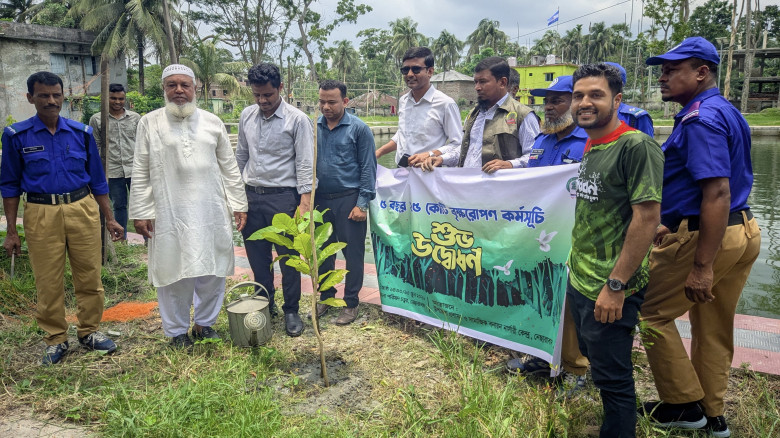 নেছারাবাদে পাঁচ বছরে ২৫ কোটি বৃক্ষরোপণ কর্মসূচির উ...