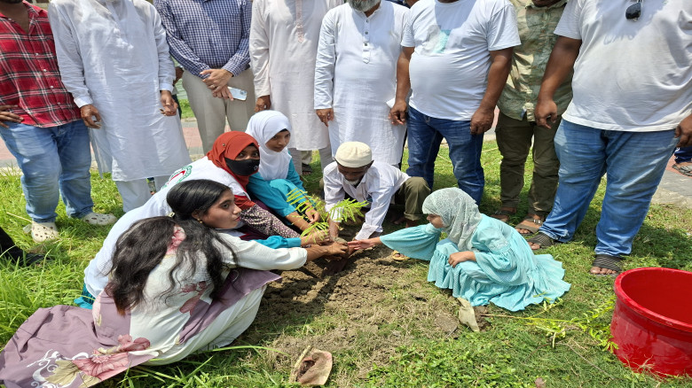 কালকিনি উপজেলায় ২৫ কোটি বৃক্ষরোপণ কর্মসূচির উদ্বো...