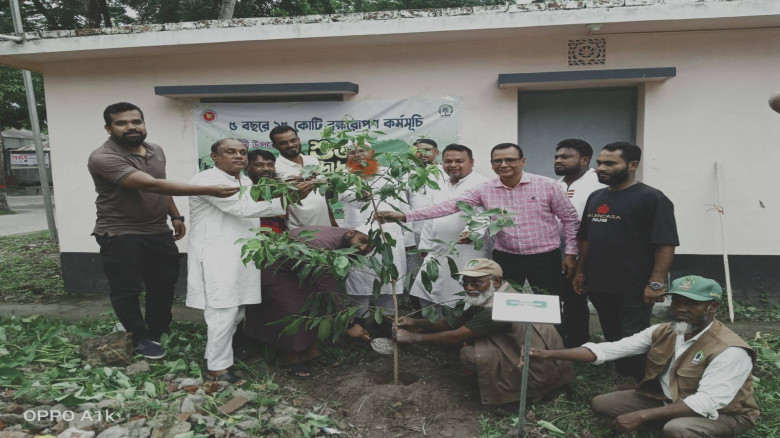 আমতলীতে বৃক্ষরোপণ কর্মসূচির উদ্বোধন...