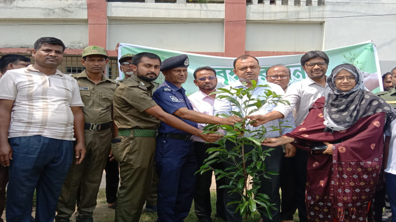 বকশীগঞ্জে বৃক্ষরোপন কর্মসূচির উদ্বোধন...