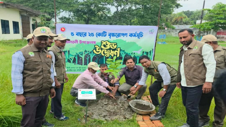 তালতলীতে প্রধানমন্ত্রীর ২৫ কোটি বৃক্ষরোপণ কর্মসূচি...
