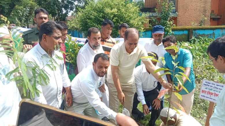 কেন্দুয়ায় বৃক্ষ রোপন কর্মসূচি শুভ উদ্বোধন...