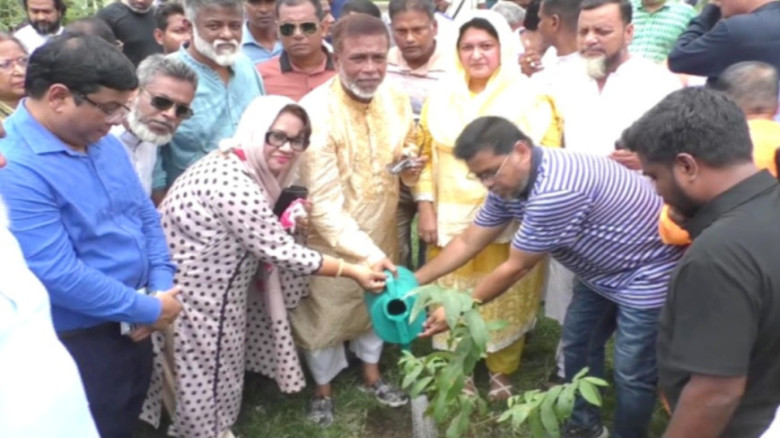 পঞ্চাশ হাজার গাছ রোপন করা হবে...