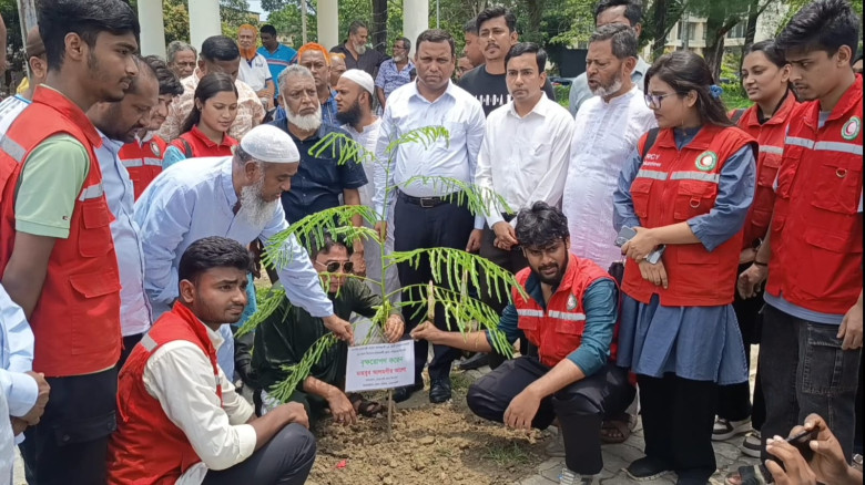 নোয়াখালী জেলা পরিষদের উদ্যোগে ১০ হাজার বৃক্ষরোপণ ক...