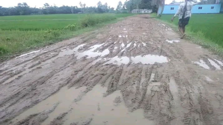 বিহারীপুরে উন্নয়নের ছোঁয়া নেই, কাদামাখা সড়কে জনদুর...