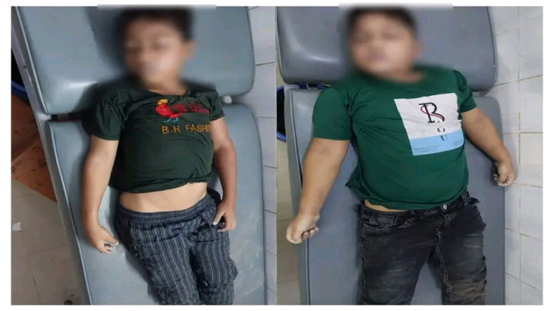 দেলদুয়ারে পানিতে ডুবে দুই শিশুর মৃত্যু...