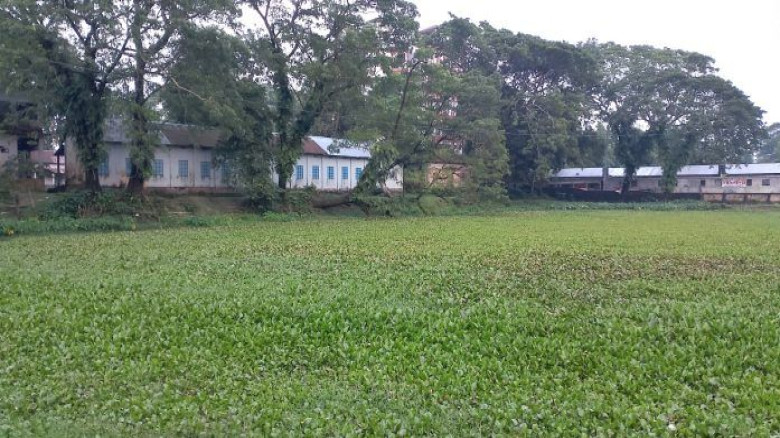 বানিয়াচংয়ে শতবষী এল আর সরকারী উচচ বিদ্যালয়ের পুকুর...