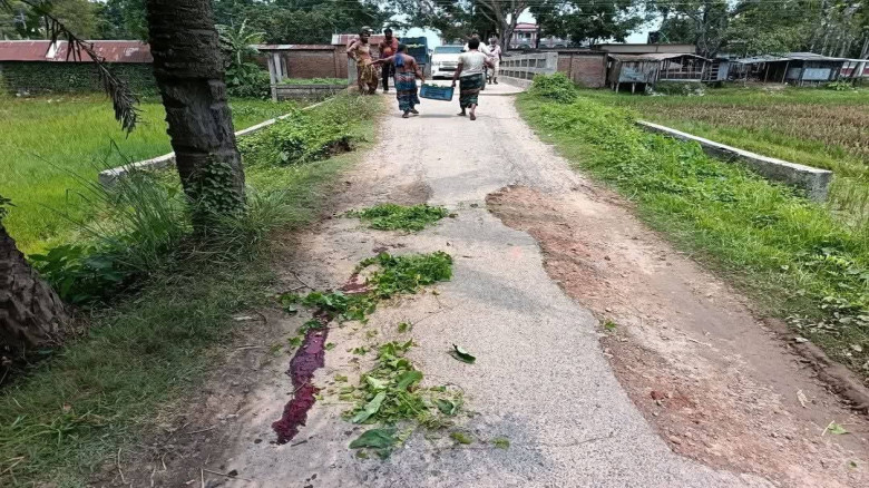 বাঘায় ভাঙা রাস্তার উঁচু ব্রিজ,আম  ভর্তি  ভ্যান উল্...