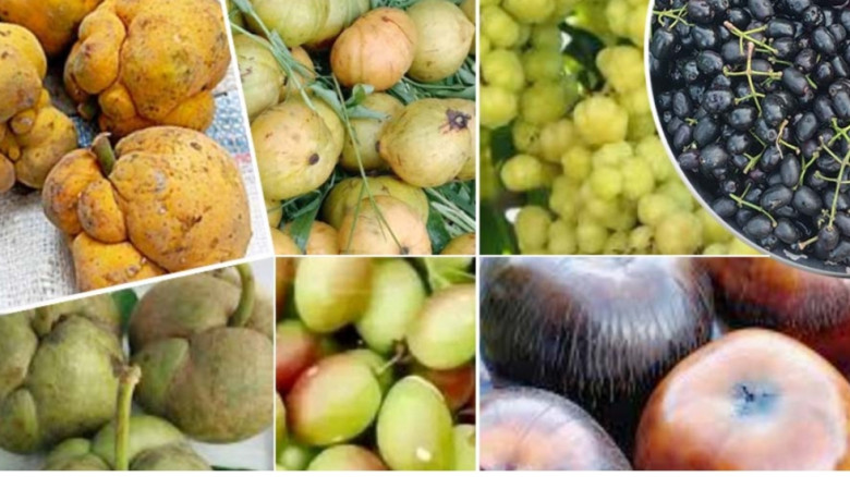 আম-কাঁঠালের ভিড়ে হারিয়ে যাচ্ছে দেশীয় ফল...