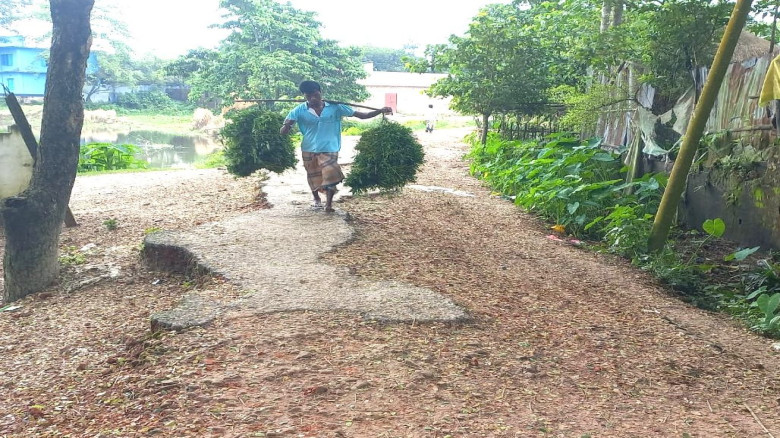 বানিয়াচং সদরের ঠাকুরাইন দীঘির সংযোগ সড়কটির বেহাল দ...