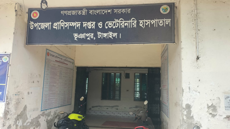 ভূঞাপুর প্রাণী সম্পদ  অফিসে ১১ জনের বিপরীতে জনবল র...