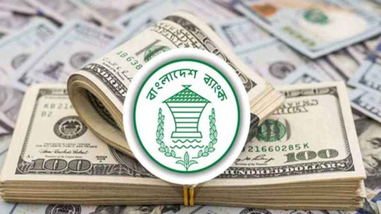 রেমিট্যান্স এলো ১৯৫ কোটি ডলার...