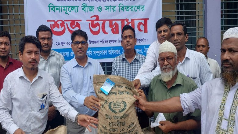 ঠাকুরগাঁওয়ে কৃষকদের মাঝে বিনামূল্যে রোপা আমন ধান ব...
