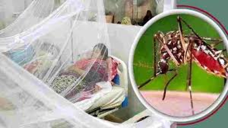 ২৪ ঘণ্টায় ডেঙ্গুতে দুজনের মৃত্যু...