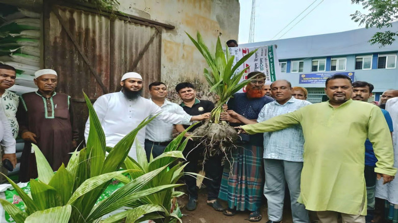 আমতলীতে কৃষকদের মাঝে গাছের চারা ও সার বিতরণ...