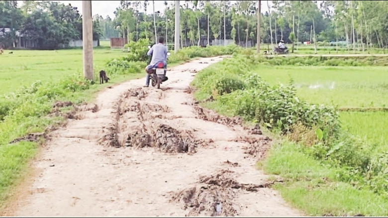 চরফ্যাশনে কাঁচা রাস্তা সংস্কারের অভাবে চলাচলে দুর্...