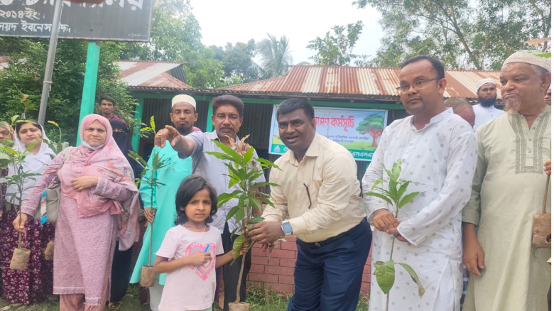 কালিহাতীতে  গাছের চারা বিতরণ...