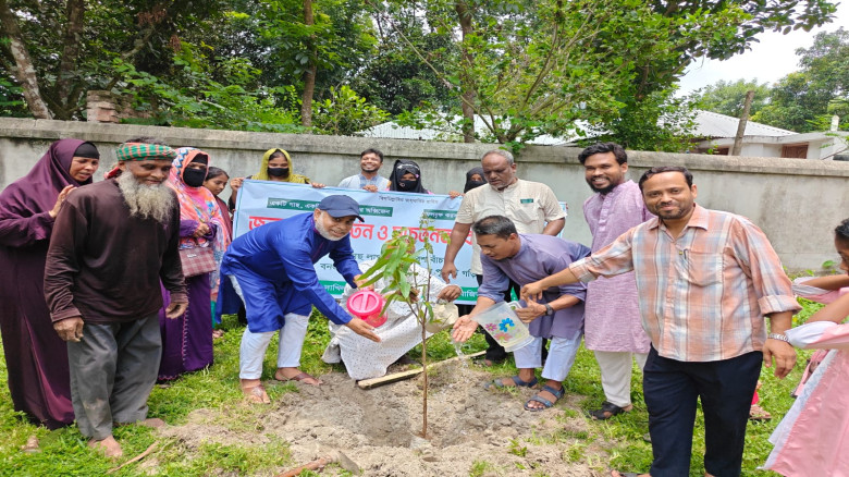 লালপুরে মাদ্রাসায় গাছের চারা রোপণ ও বিতরণ...
