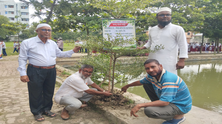 মাধবদীতে বিভিন্ন স্কুল, কলেজে বৃক্ষ রোপণ কর্মসূচী ...