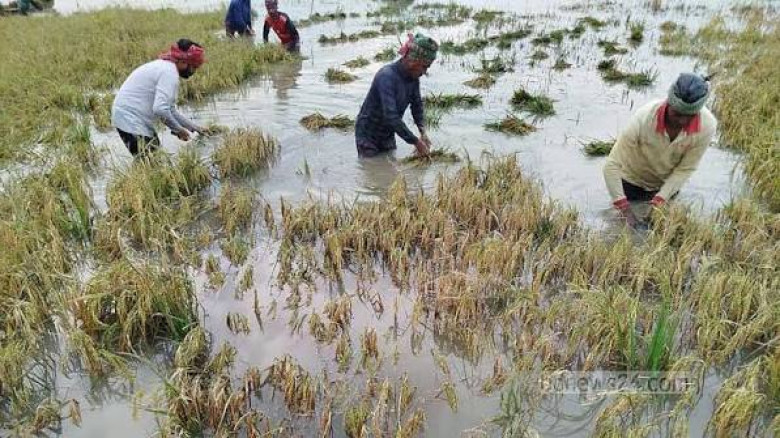 মধ্যনগরে ক্ষতিগ্রস্ত কৃষকের তালিকায় অনিয়মে ক্ষুব্ধ...