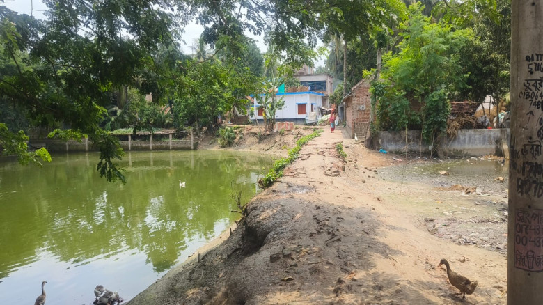 পুকুরে বিলীন হচ্ছে শার্শার লাউতাড়া গ্রামের একমাত্র...