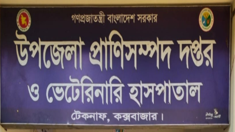 টেকনাফে বিনামূল্যে বিড়ালের ফ্লু ভ্যাক্সিনেশন ও সচে...