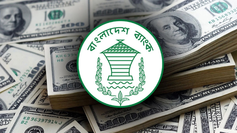 জুলাইয়ের ১১ দিনে এলো ১১৫ কোটি ডলারের বেশি রেমিট্যা...