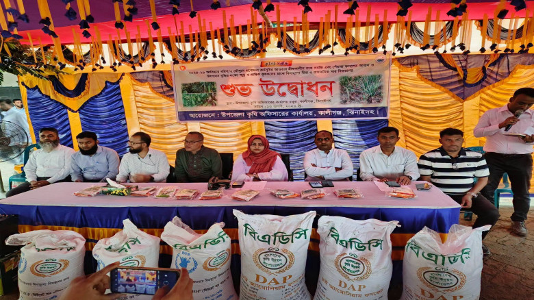 কালীগঞ্জে কৃষকদের মাঝে বিনামূল্যে বীজ ও সার বিতরণ...