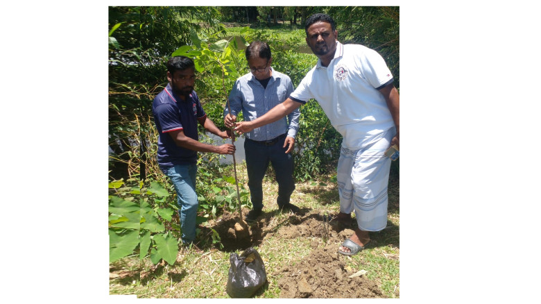 সুনামগঞ্জের পাগলা-বীরগাঁও সড়কে ৪০০ গাছের চারা রোপণ...