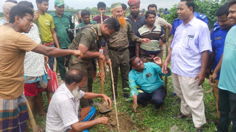 ঠাকুরগাঁওয়ে ৮৪ একর সংরক্ষিত বনভূমি উদ্ধার, রোপণ কর...