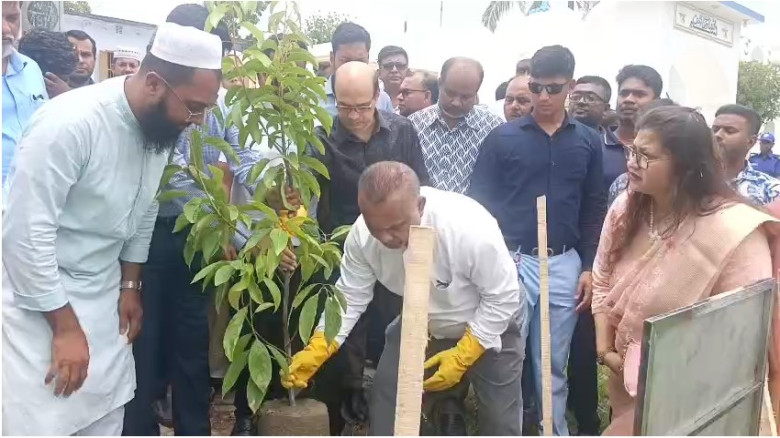 ঝালকাঠি সদরে বৃক্ষরোপণ, ক্ষতিগ্রস্ত পরিবারের মাঝে ...