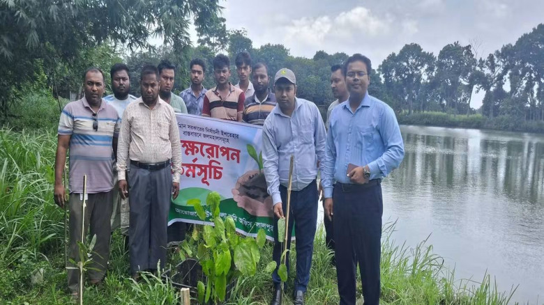 জলমহাল ঘিরে সবুজ বিপ্লব লালপুরে বৃক্ষরোপণ কর্মসূচি...