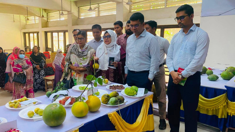 মনোহরদীতে,অনুষ্ঠিত হলো বর্ণিল ফল মেলা...
