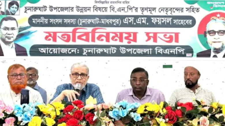 নেতাকর্মীদের ঐক্যই উন্নয়নের শক্তি : এমপি সৈয়দ মো...