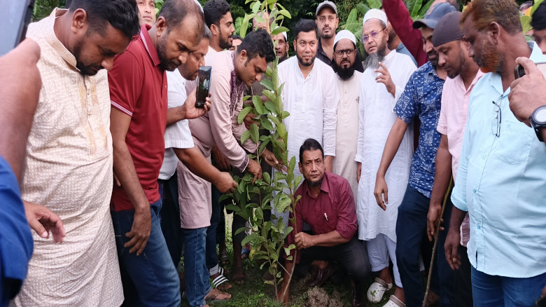 বাউফলে কেন্দ্রীয় কৃষকদল নেতার বৃক্ষরোপন কর্মসূচির ...