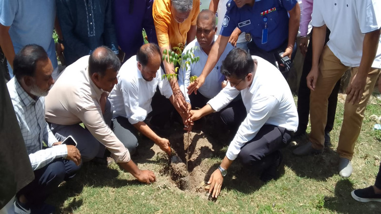 শ্রীমঙ্গলে এক বছরে ১ লাখ বৃক্ষরোপণ কর্মসূচির উদ্বো...