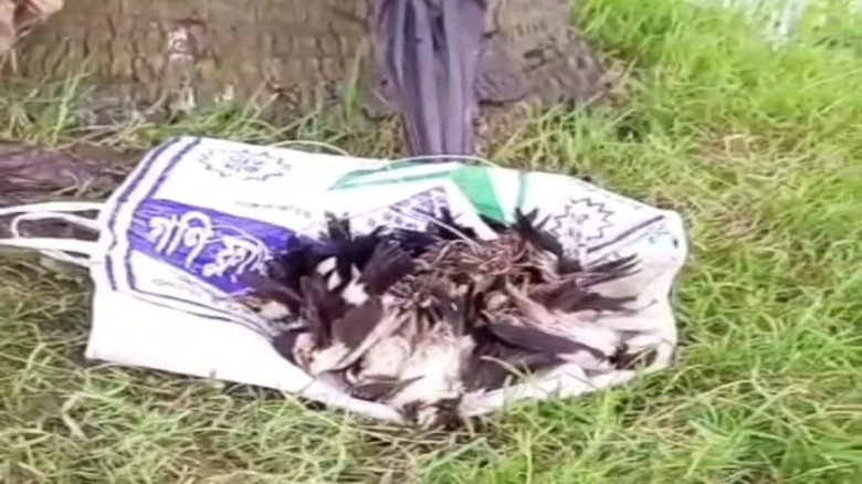নলডাঙ্গায় ৪০০ পাখি শিকারের পর হত্যার ঘটনায় থানায় ব...
