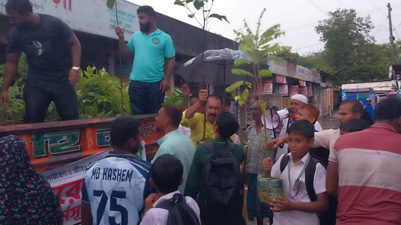 আখাউড়ায় প্রবাসীর উদ্যোগে বাড়ি বাড়ি চারা বিতরণ...