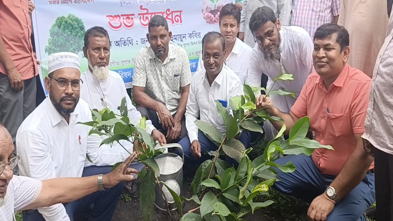 ঠাকুরগাঁওয়ে জিয়া পরিষদের বৃক্ষরোপণ কর্মসূচির উদ্বো...