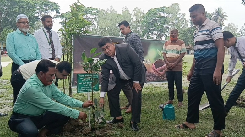 গোবিন্দগঞ্জে পূবালী ব্যাংক পিএলসির আয়োজনে বৃক্ষরোপ...