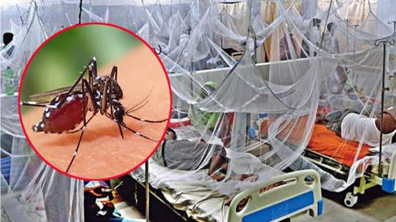 ডেঙ্গুতে আরও তিনজনের মৃত্যু, হাসপাতালে ভর্তি ৫৮০...