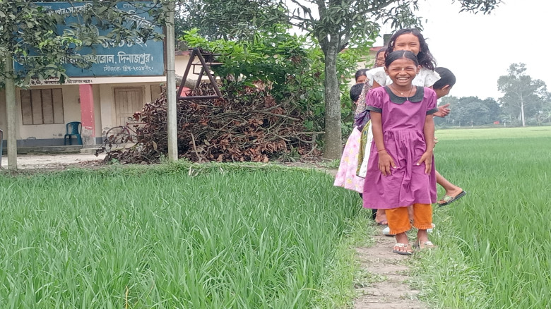 রাস্তা নেই, চিকন আইলই ভরসা: গোপালপুর সরকারি প্রাথম...