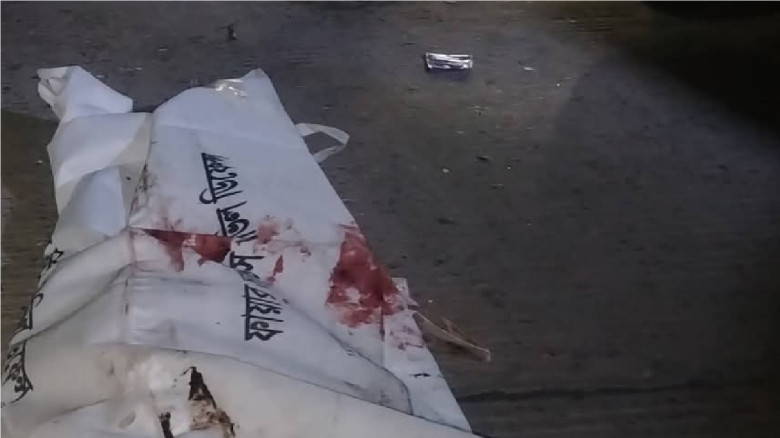 সলঙ্গার নলকায় বাস ও ট্রাকের মুখোমুখি  সংঘর্ষে ঘটনা...